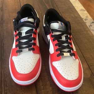Nike Dunk Low EMB NBA 75th anniversary Chicago